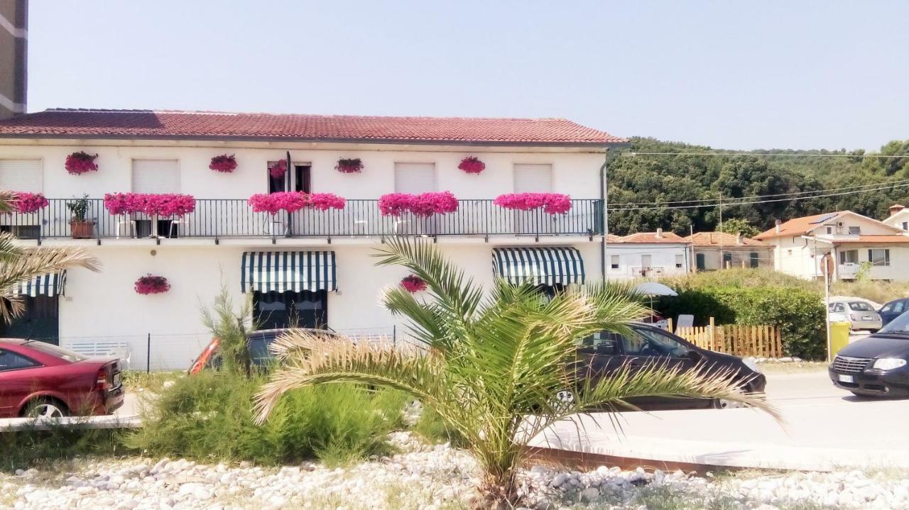 Villa Il Mio Paradiso 托里诺迪桑格罗 外观 照片